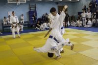 Tomiki Aikido Championship 2014