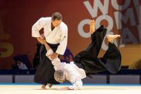 World Combat Games