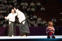 World Combat Games