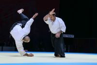 World Combat Games